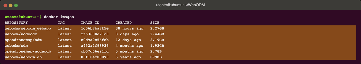 Output di docker images con immagini webodm/ e opendronemap/ evidenziate